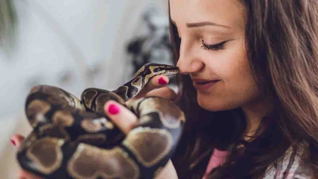 Rüyada Yılan Görmek Ne Anlama Gelir