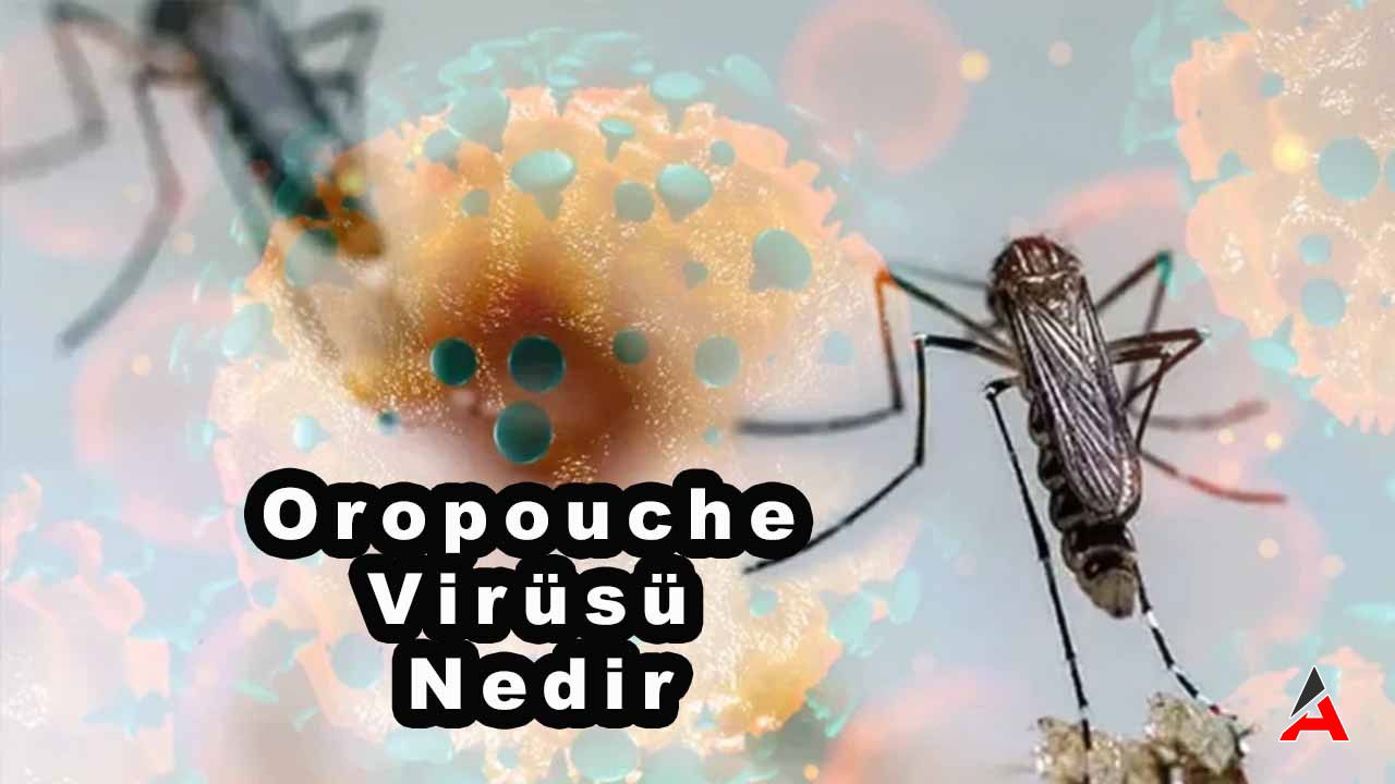 oropouche-virusu-nedir.jpg