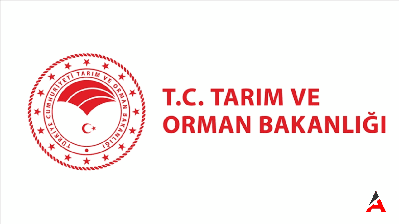 tarim-orman-000.png