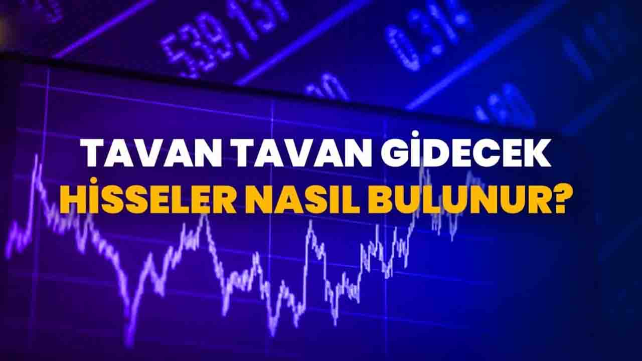 Tavan Yapacak Hisse