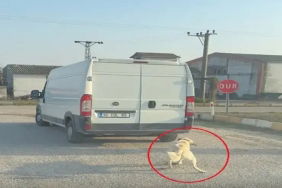 Balıkesir’de Skandal Minibüsün Arkasına Bağlanan Köpek Sürüklenerek Çekildi