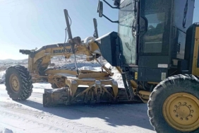 Elazığ'da Kar Yağışı Hayatı Olumsuz Etkiledi