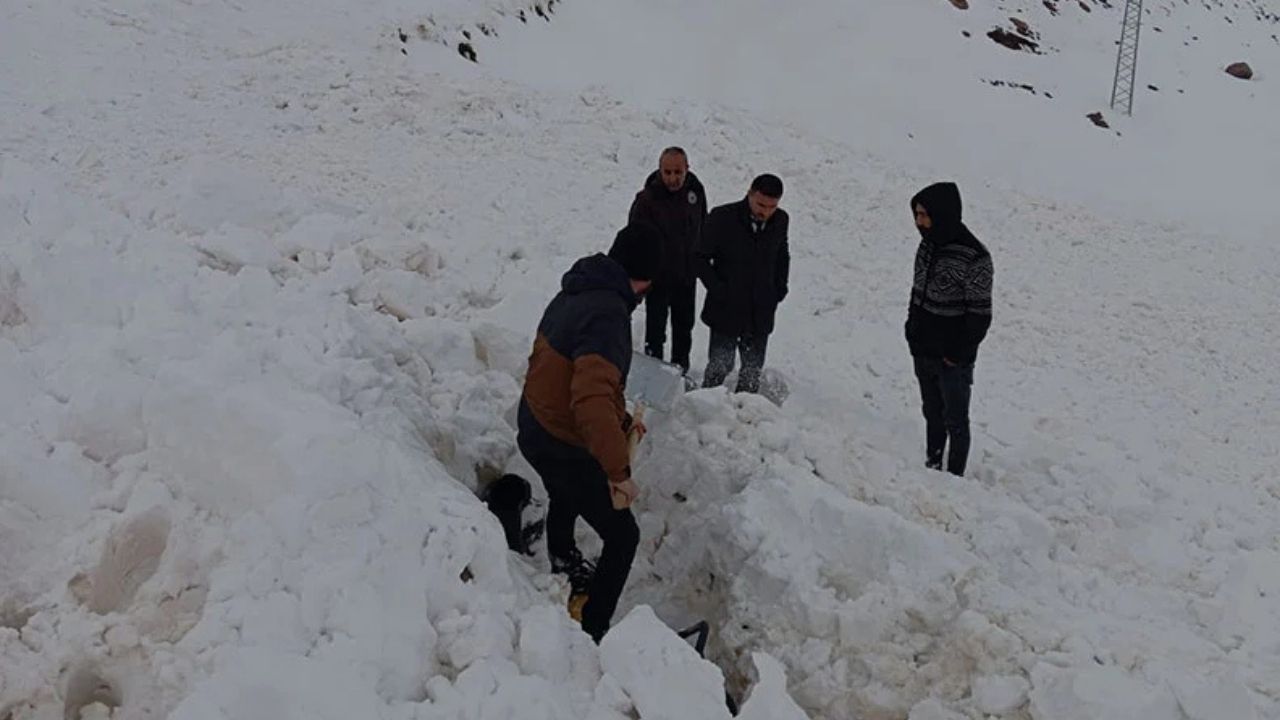 Şırnak’ta Çığ Faciası