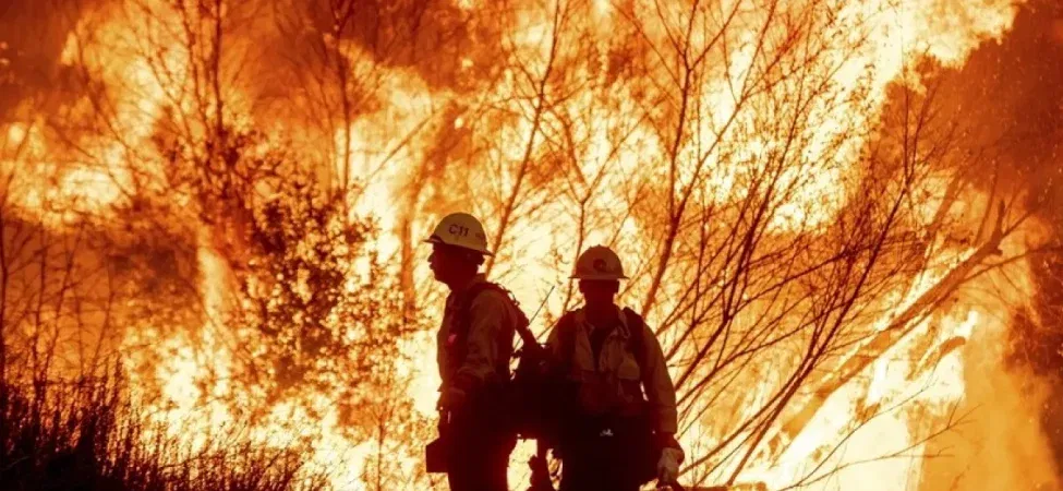 ABD Los Angeles yangını neden çıktı